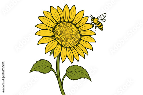 Sunflower and bee illustration