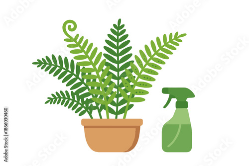 Fern plant in a pot with a spray bottle on a green background