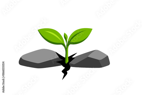 Green sprout growing through cracked rock