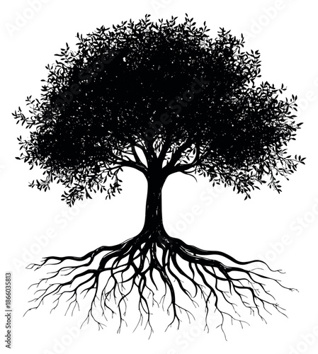 Hand drawn silhouette illustration of a mature tree depicting deep roots and a dense crown for nature, growth, and environmental concepts