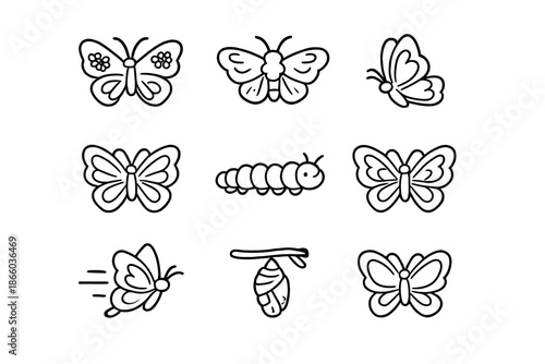 Butterfly Life Cycle Icons Set