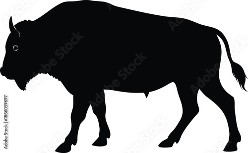 a striking silhouette of a bison standing in a natural wild landscape view