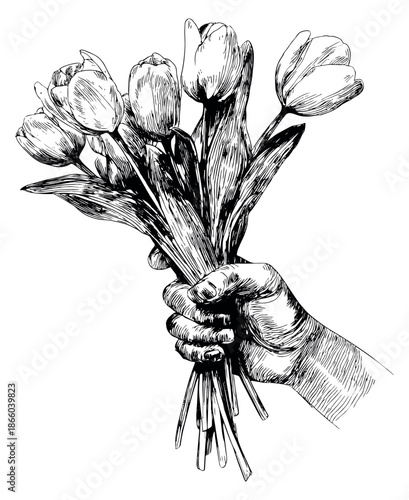 Hand drawn line art illustration of a hand and a bouquet of tulips depicting gifting for celebration