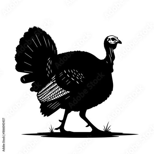 Black silhouette of a wild turkey walking on grass, with fanned tail feathers, in a graphic style.