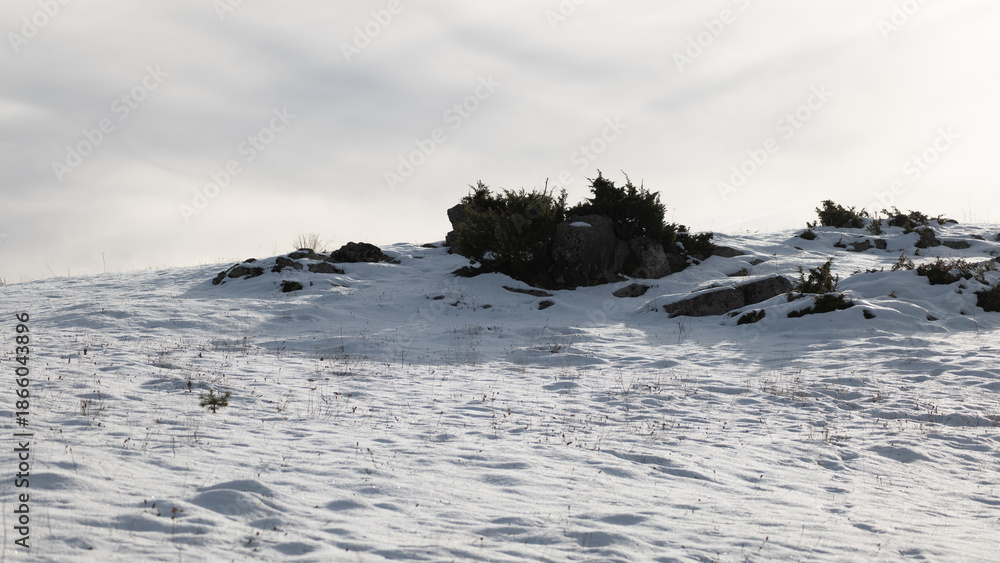 custom made wallpaper toronto digitalsnow covered mountains
