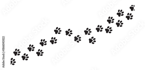 Ascending line of scattered black paw prints indicating an animal's route or walk upon white surface vector shape