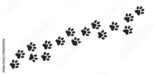 Dog paw prints trail across white background vector illustration of animal tracks for pet shop and veterinary clinic