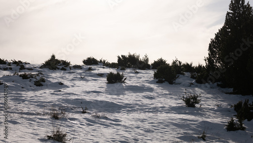 Wallpaper Mural winter in the mountains Torontodigital.ca