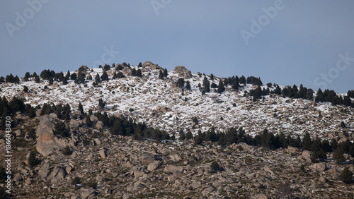 Wallpaper Mural flock of sheep Torontodigital.ca