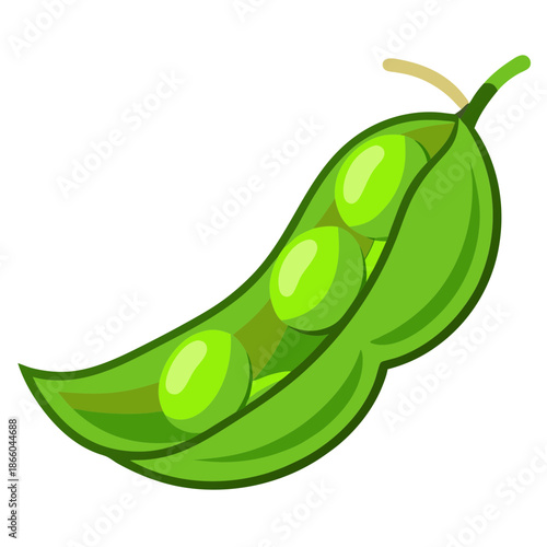 Fresh green peas in pod illustration vector, healthy vegetable, organic food, garden peas
