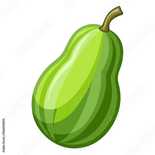 Illustration of a green striped vegetable gourd for healthy eating and cooking recipes ideas