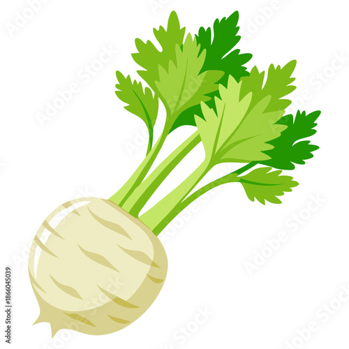 Find fresh celeriac root vegetable with green leaves for healthy eating and cooking ideas