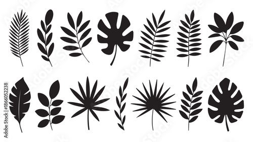 A collection of black and white decorative leaves and plants in various shapes and sizes