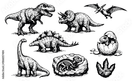 Hand drawn line art dinosaur set featuring various prehistoric creatures and elements for children's education and historical themes
