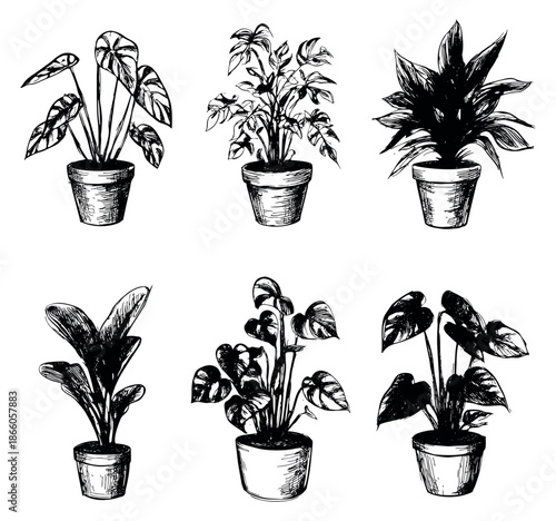 Hand drawn line art potted plants set featuring various tropical foliage for home decoration