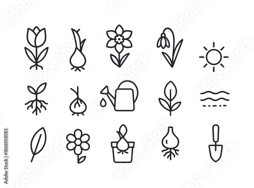 Bulb Flower Icons. Bulb Flowers. Line icon set of Bulb Flowers: tulip bulb, daffodil bulb, snowdrop bulb, sprouting bulb, root system, watering can, sunlight,