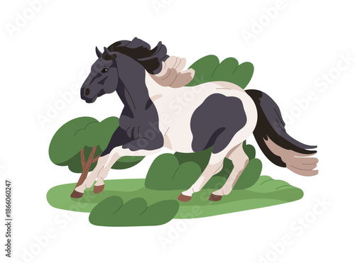 Pony, dwarf horse running in countryside nature, side view. Miniature equine breed, foal with patchy pinto coat, in motion outdoors in country. Flat vector illustration isolated on white background