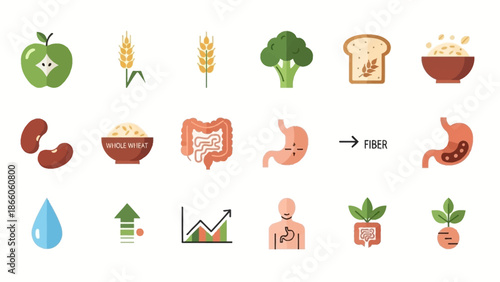 Digestive System and Nutrition Icons Set.