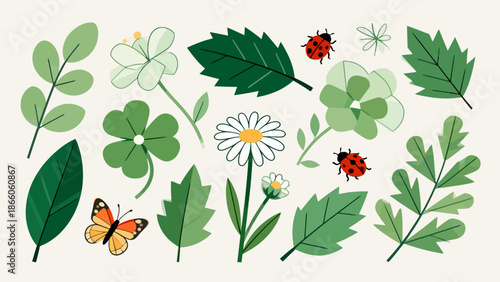 Illustration of flowers leaves and insects