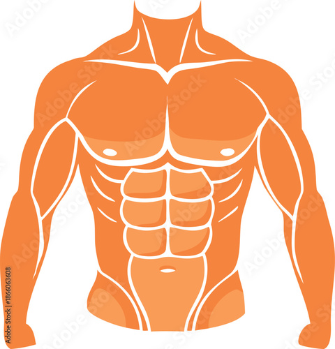 An orange illustration depicts a highly muscular male torso with well defined abdominal