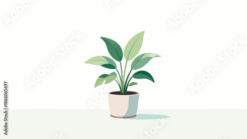 Potted plant with green leaves