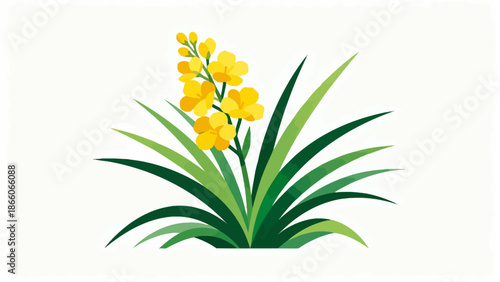 Yellow flower plant illustration