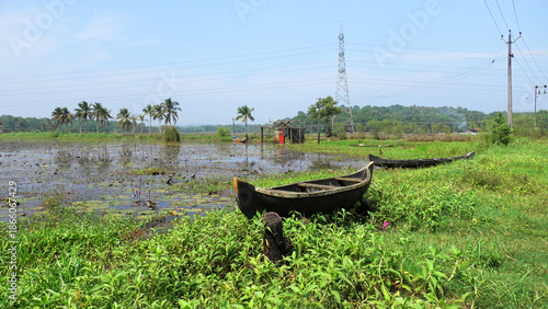 A traditional wooden boat parked aside a flooded farmland in Kerala, India
