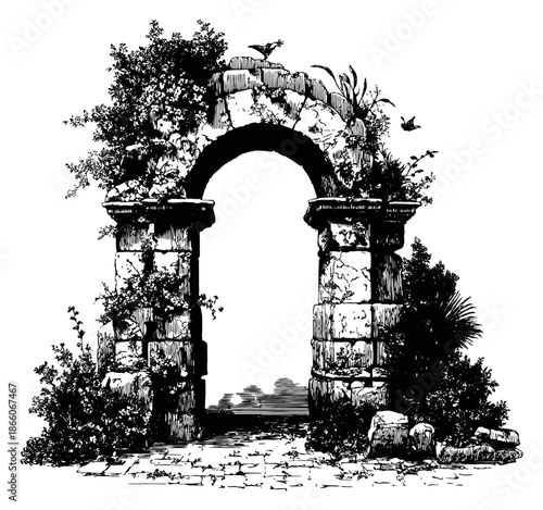 Hand drawn line art illustration of a stone archway depicting ancient ruins overgrown with foliage for historical designs