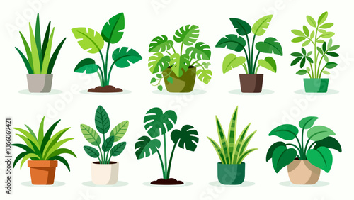 Set of potted plants in various styles
