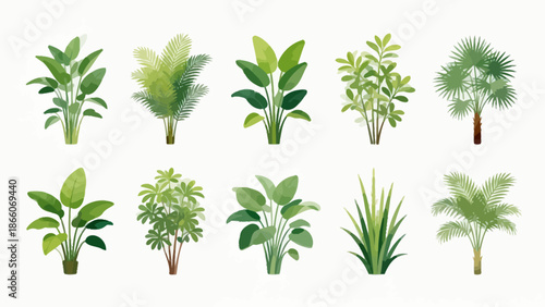 Illustrated collection of indoor plants