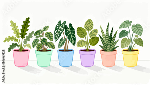 Potted plants in colorful pots