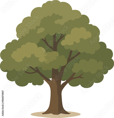 Lush Green Deciduous Tree