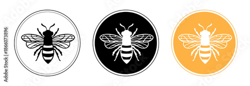 Honey Bee vector design templete. Vintage bee for logo, label, sublimation, sticker.