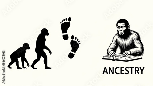Primate Evolution Illustration with Ancestry Footprints