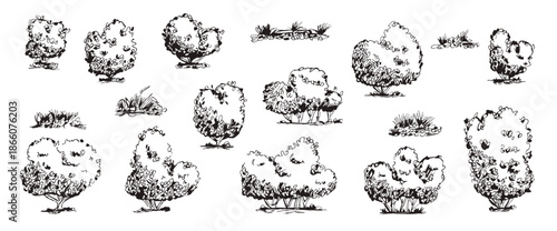 Doodle collection of bushes, grass hedges in simple black outlines. Vector garden vegetation set shrub tree silhouettes isolated on white background.
