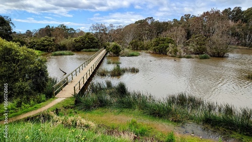 bridge over lake