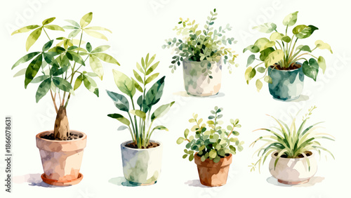 Watercolor painting of potted plants