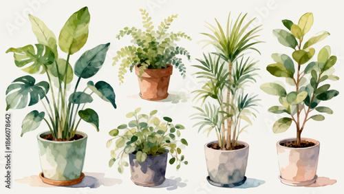 Watercolor potted plants collection
