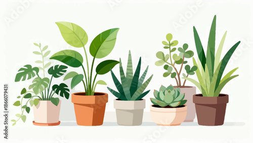 Potted plants collection