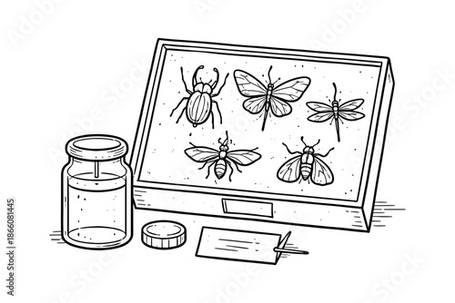 Insect collection display with specimen jar in hand drawn style