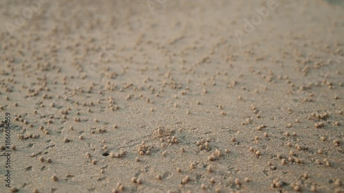 Wallpaper Mural Small Sand Pellets Scatter Across the Beach Surface, Capturing a Quiet, Natural Detail Along the Shore in Koh Samui, Thailand - Close Up Torontodigital.ca