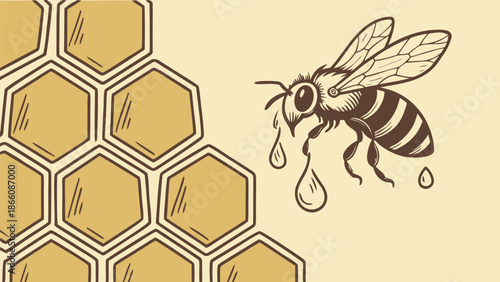 Honey bee dripping sweet honey near honeycomb cells in a stylized vector illustration ideal for natural food products beekeeping themes or organic branding