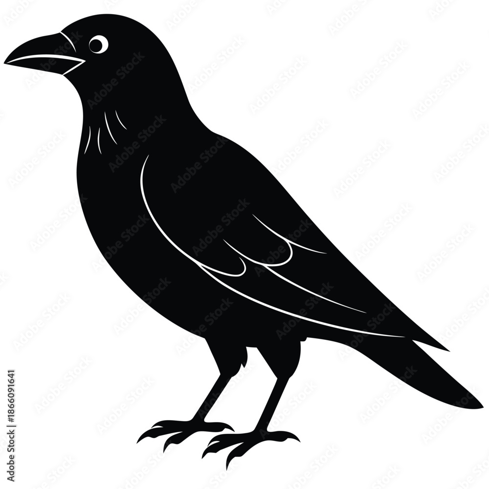 Fototapeta premium crow vector icon