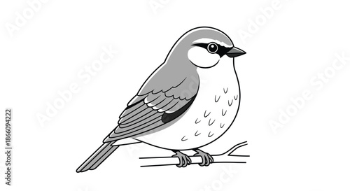 Detailed greyscale illustration of a small bird perched on a tree branch with simple background lines in a minimalist style.
