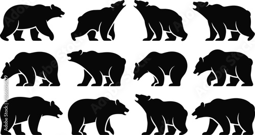 Bear silhouette collection showing walking standing and roaring poses, black vector wild animal shapes isolated on white background