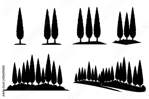 Cypress tree silhouettes: elegant row designs for landscaping concepts