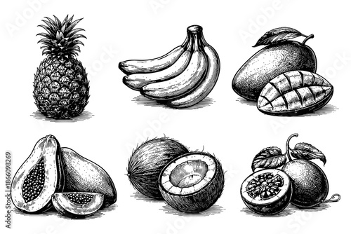 Intricate hand-drawn tropical fruits in black and white style