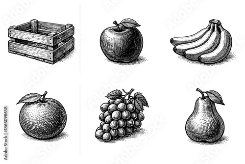 Vintage engraved fruit collection with wooden crate design in black and white
