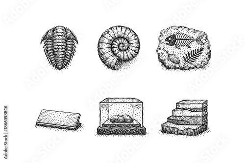 Hand drawn fossil collection in dot shading style featuring trilobite and ammonite with archaeological artifacts