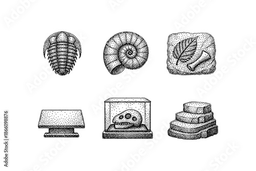 Vintage fossil collection: detailed engravings of prehistoric artifacts and ancient specimens